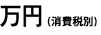 万円(消費税込)