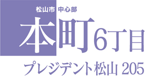 本町６丁目　プレジデント松山205