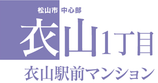 本町６丁目　プレジデント松山205